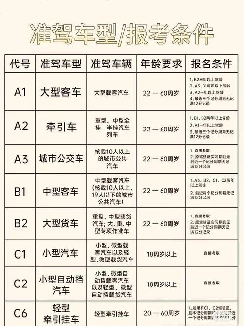 c1增a1驾照报考条件_1