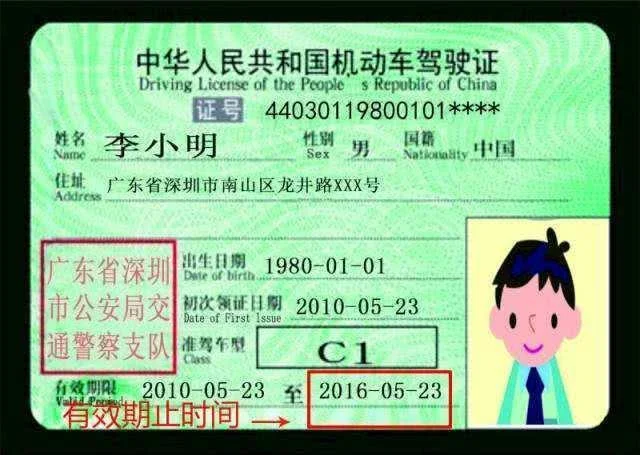 微信怎么查驾驶证_2