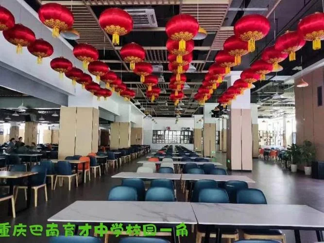 重庆巴南育才中学-重庆巴南育才中学