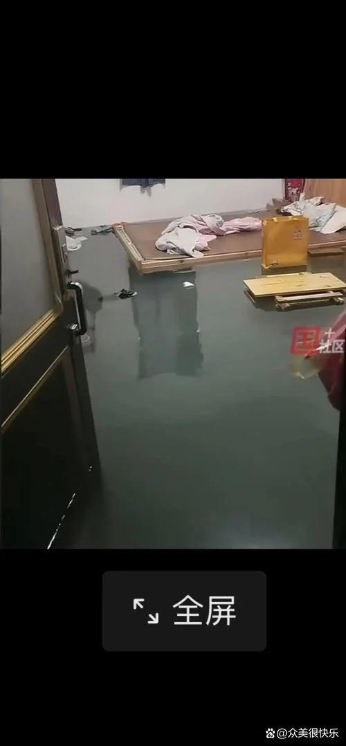 梦见下雨屋里都是水_2
