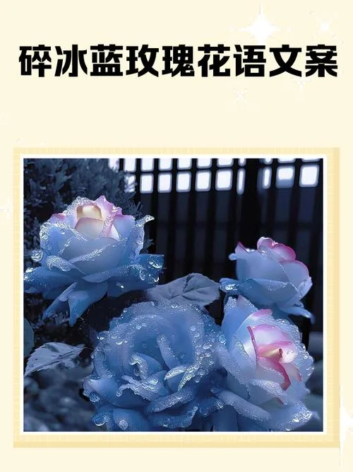 花漾物语文案_1