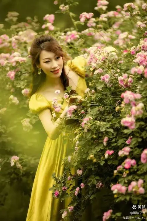 蔷薇女孩 的 读后感-蔷薇女孩读后感