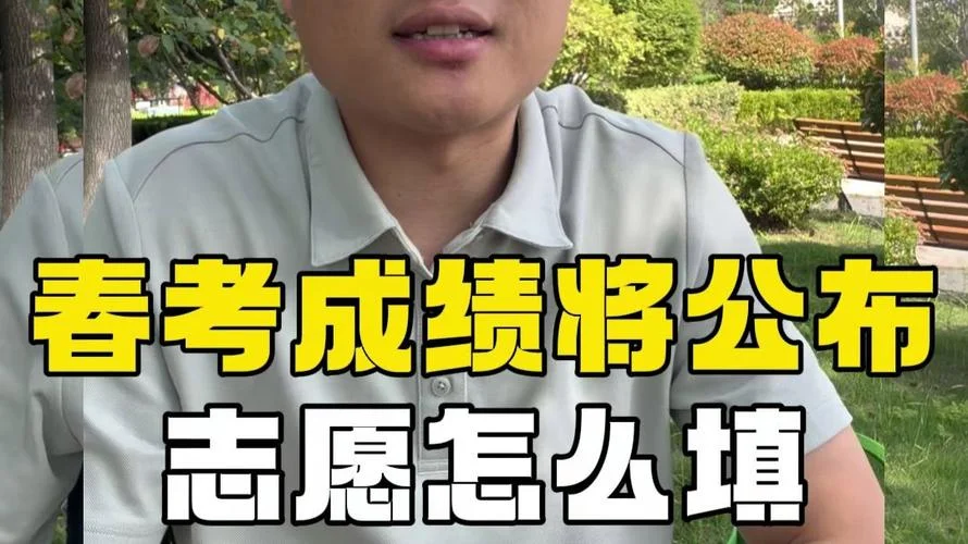 春考成绩在哪里查_1