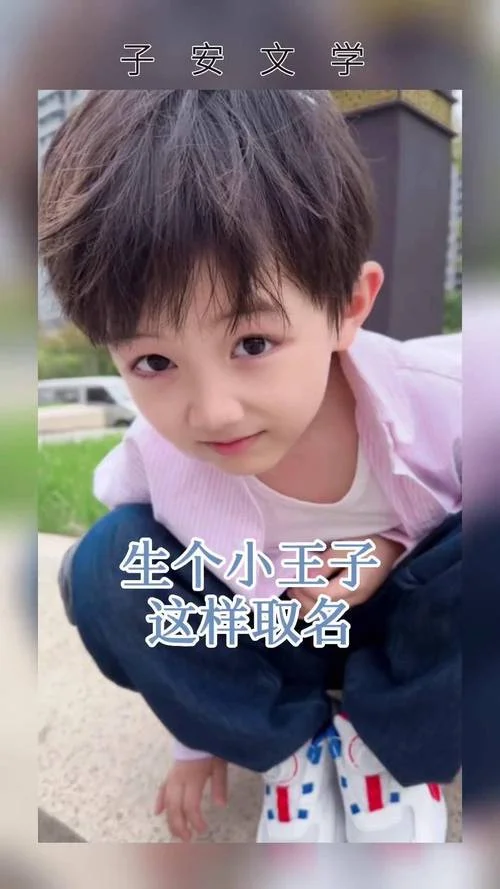 男孩王子起名_2