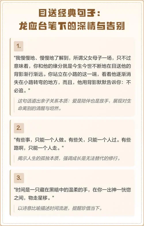 目送经典句子感悟-经典句子感悟目送