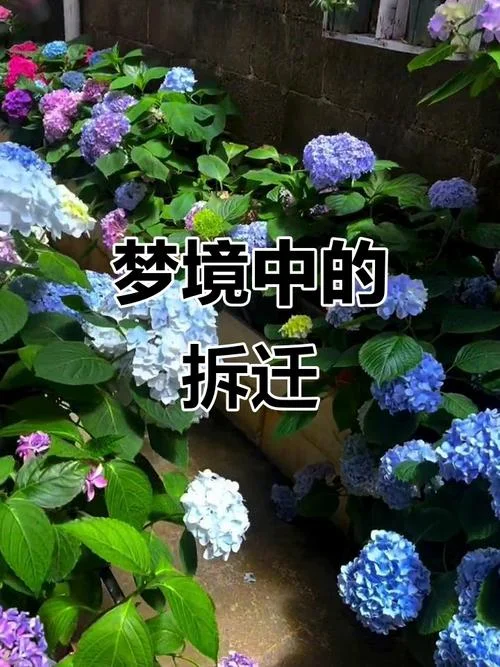 梦见拆了老房又造新房-拆旧建新