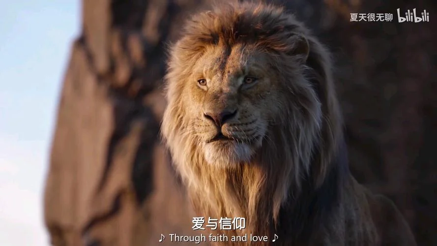 狮子王与豺的道理_1