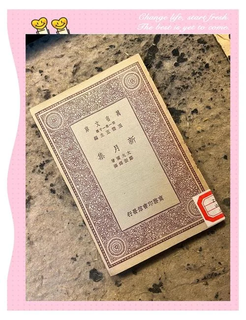 抚琴的人新书叫什么-抚琴新书叫什么