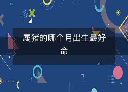 属猪人生在几月命才好_1