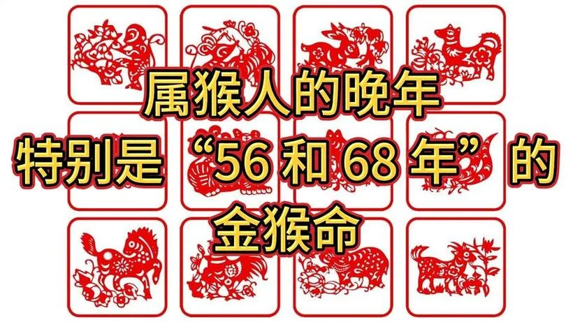 1968年11月的猴是什么命_2