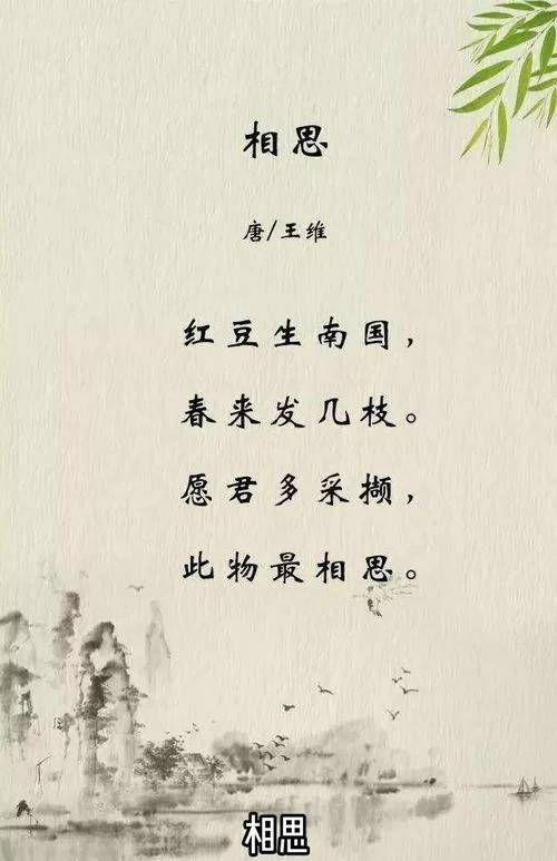 红豆的歌词是谁写的_1