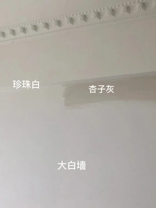 粉刷在墙面白色的叫什么_1