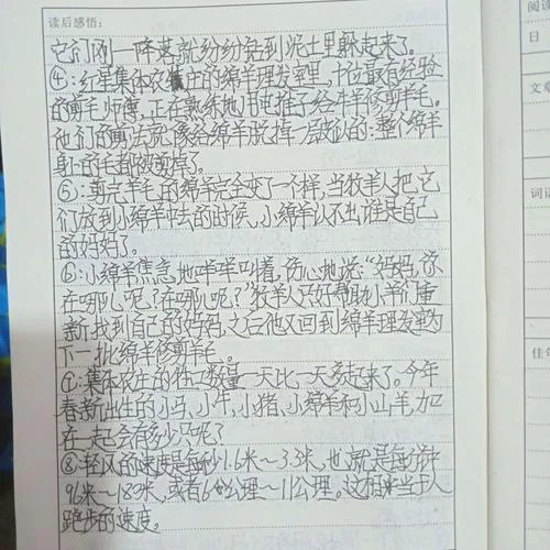 森林报的读后感悟_2