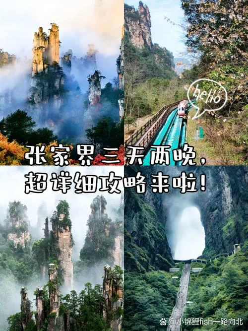 张家界旅游2日游费用-张家界2日游费用