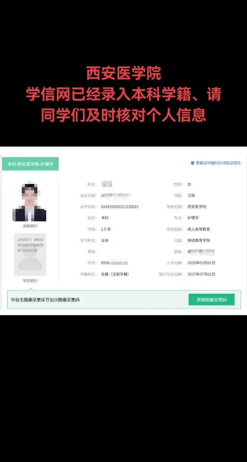 学信网个人学历查询 证书编号_1