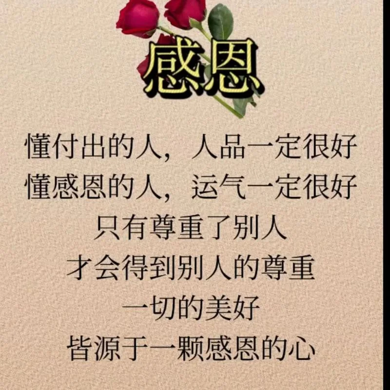 人生感悟感恩图片大全_1