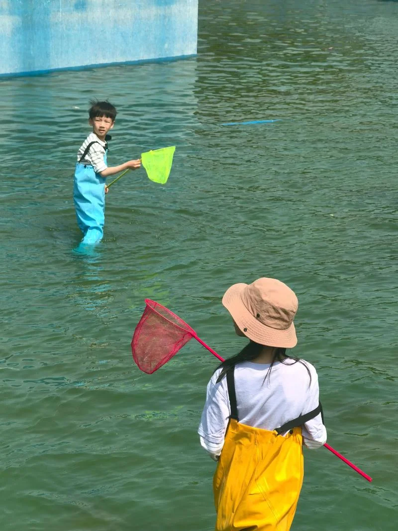 梦见别人捞鱼-别人捞鱼梦见