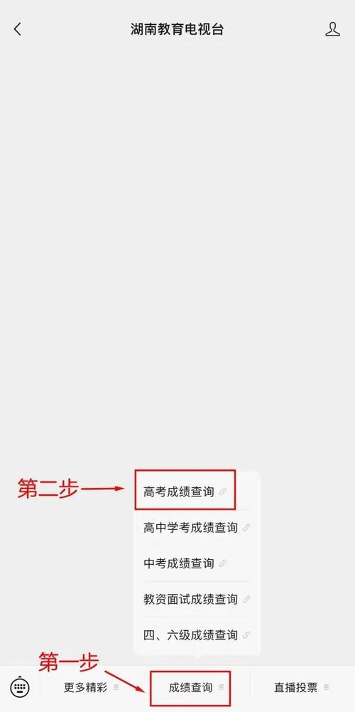 湖南考生成绩查询_2