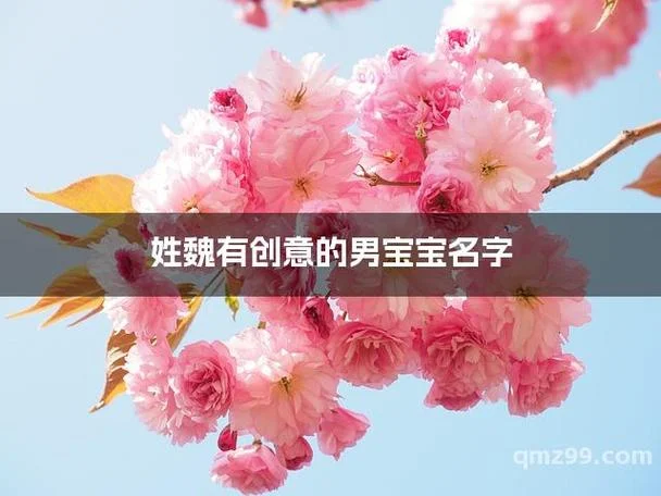 魏 起名_1