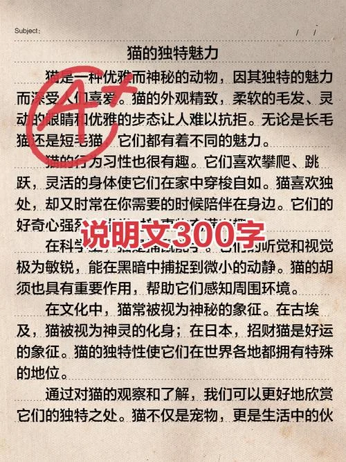 补充说明文字的作用-补充说明的作用