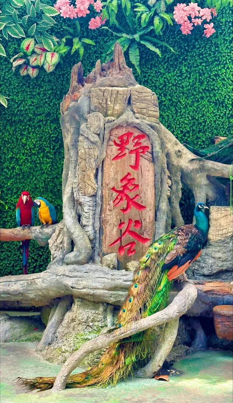 西双版纳旅游二日游_1