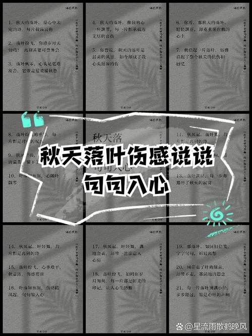 秋天心情说说感悟生活-秋心情感悟生活