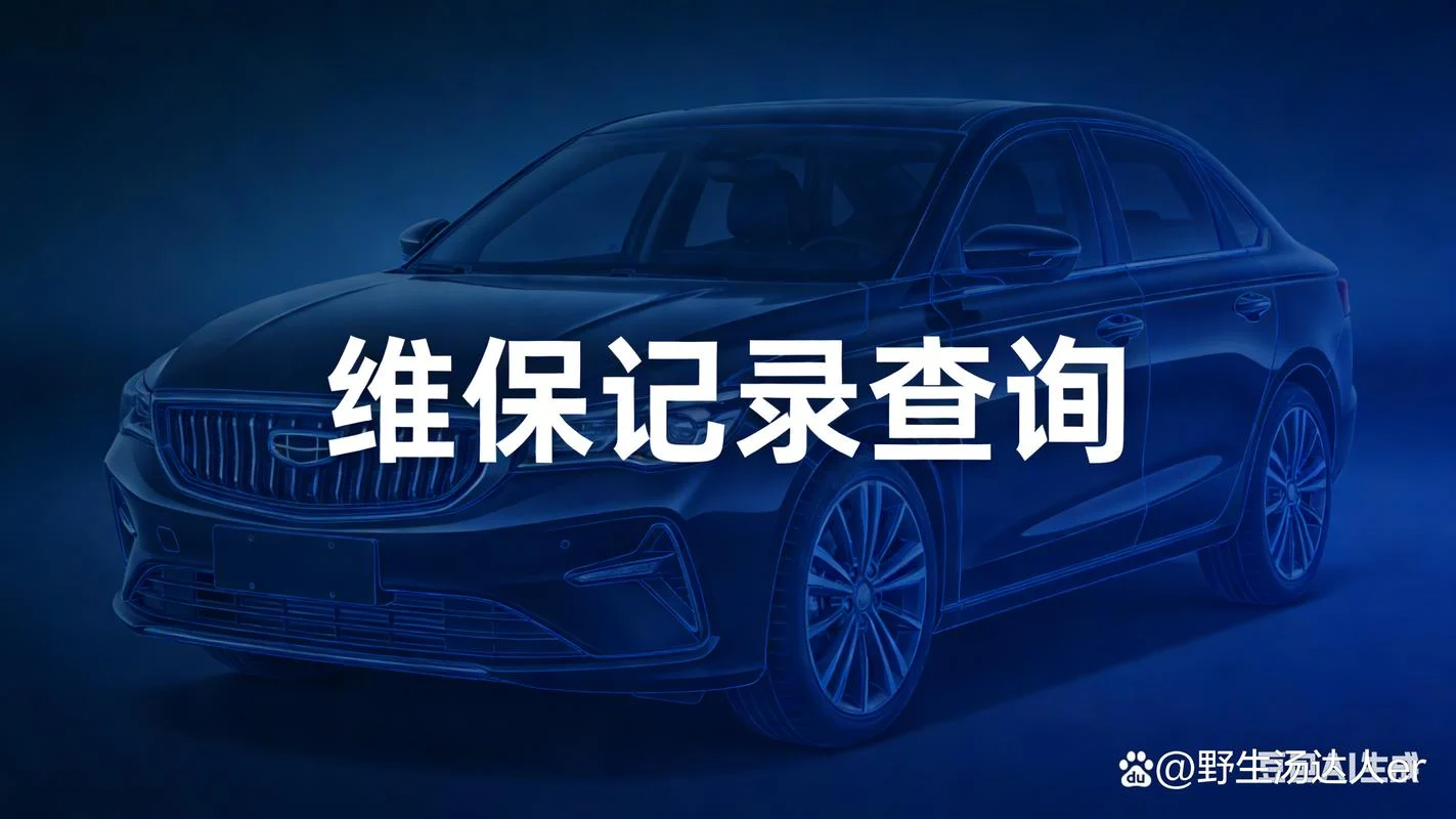 如何查车辆4s店维修保养记录_1