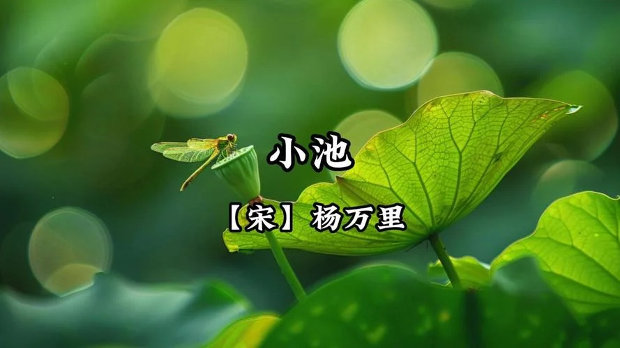 小池的作者诗人是谁_2