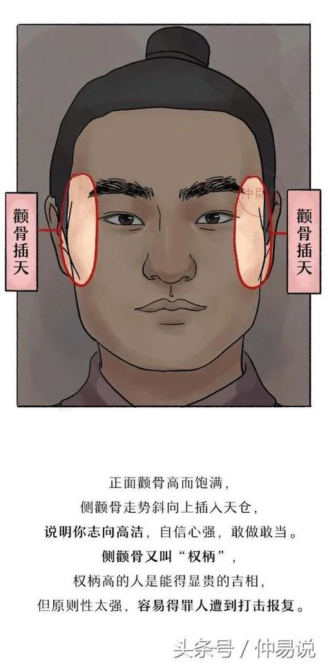 颧骨高的男生面相分析-颧骨高男生面相