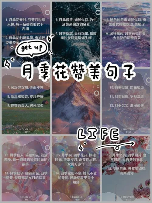 关于玫瑰和月季的文案-玫瑰月季文案精选