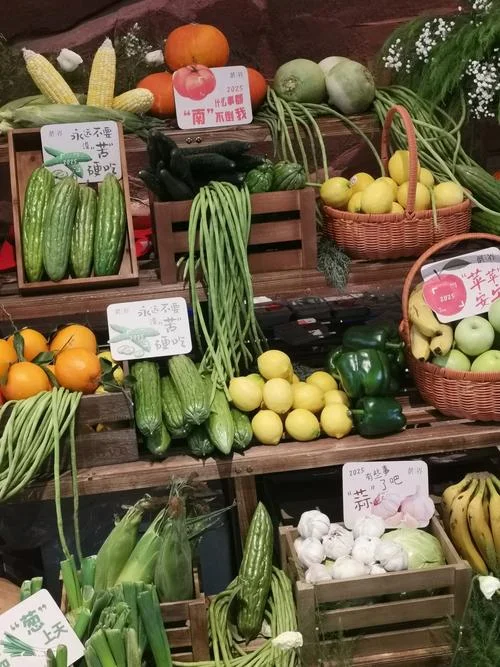 梦见买蔬菜_1