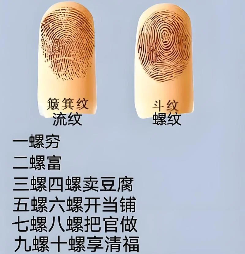 指纹运势十指流纹_1