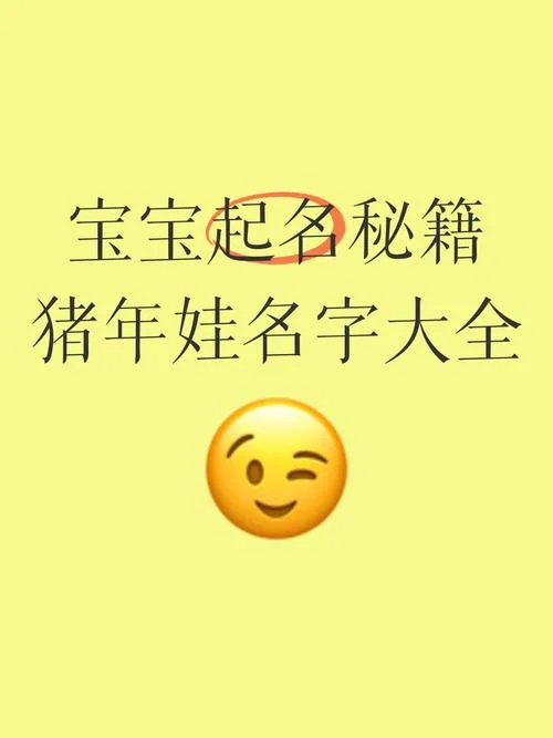 起名字2019年猪宝宝_2