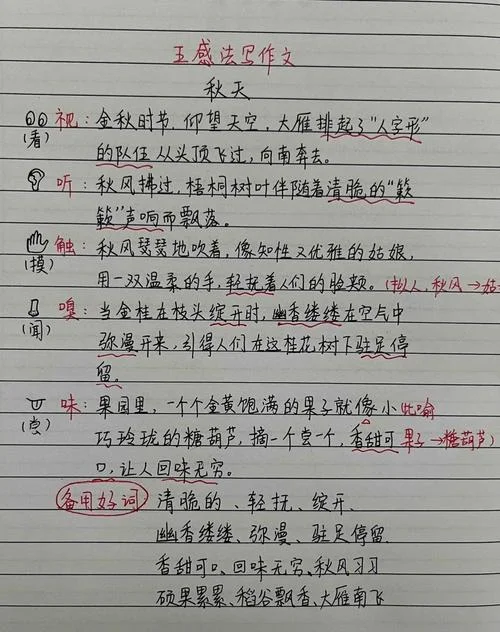 五感法写作文教学视频_1