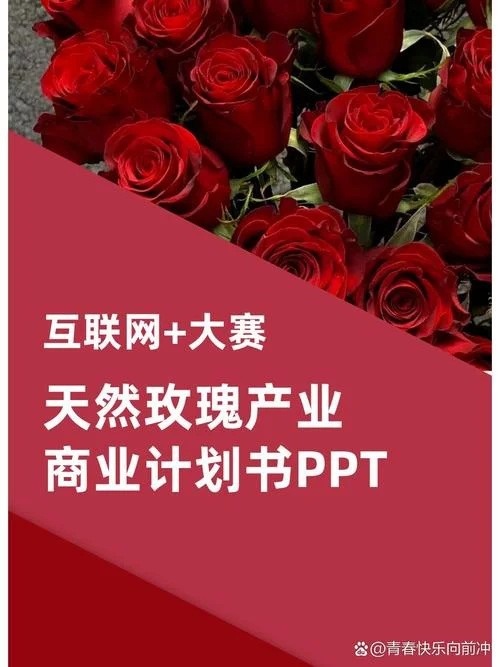 选对玫瑰创业项目-选对玫瑰创业好