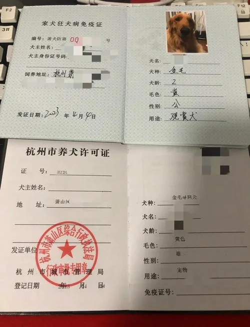 狗证年审怎么办理-狗证年审办理指南