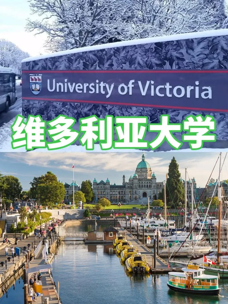 ic是什么大学_2