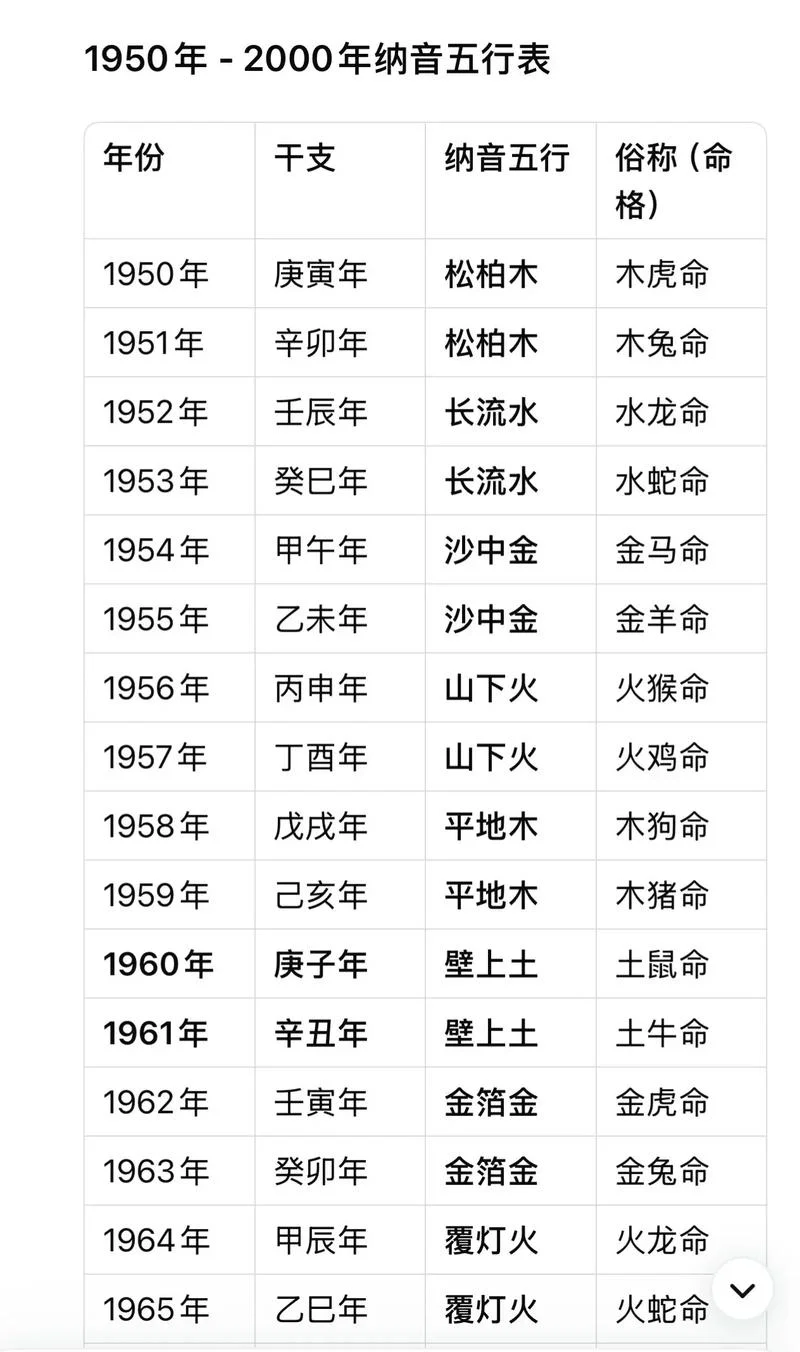 2025年出生是什么命_2