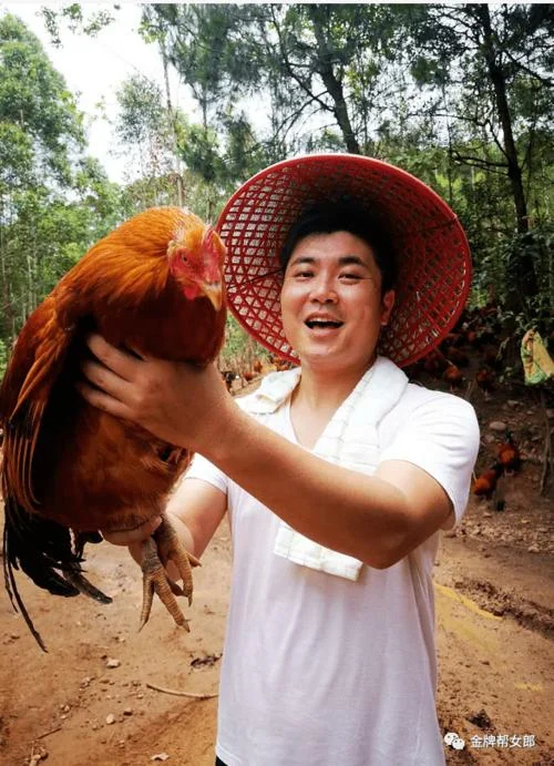 养鸡的人叫什么_2