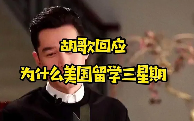 胡歌美国留学的大学_1