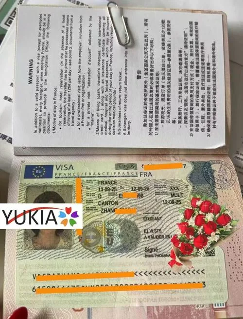 法国留学签证diy_2