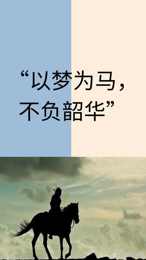 韶华的意思与出处_1
