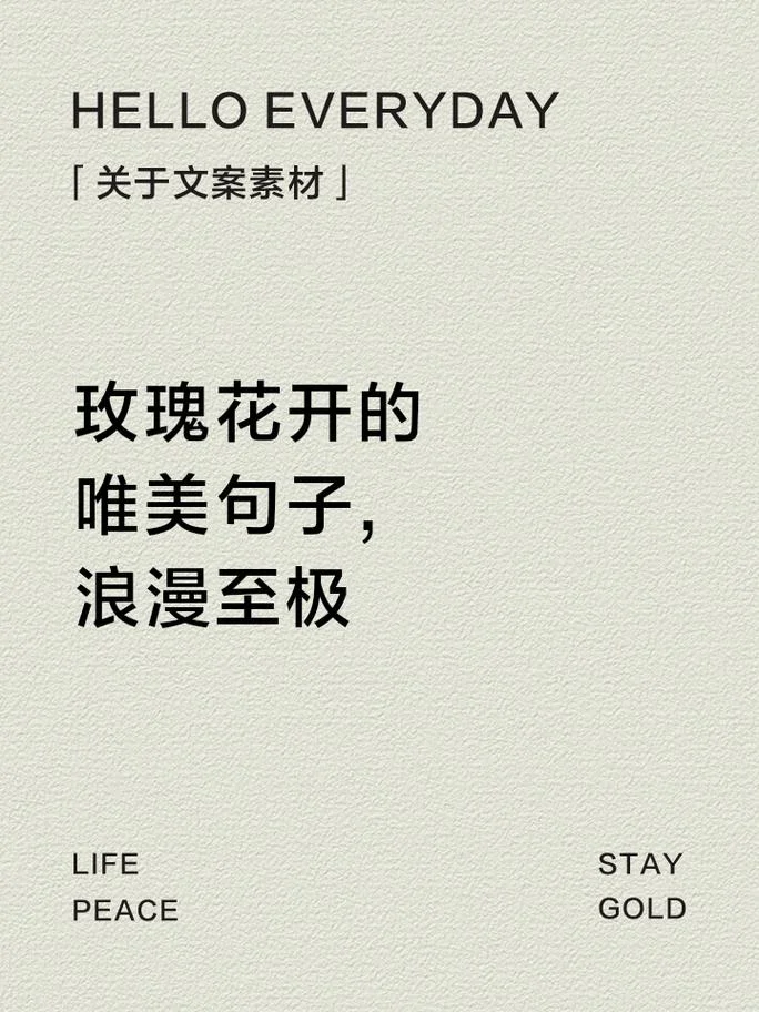 写花的句子感悟_1