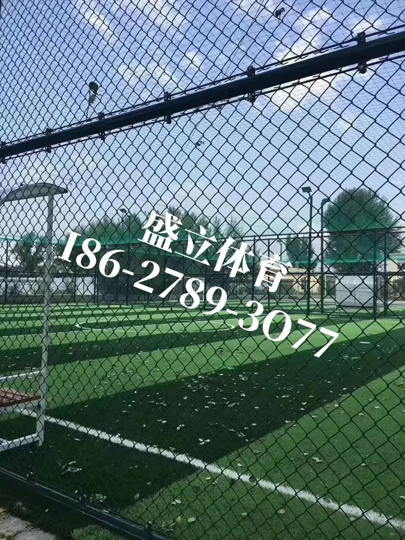 塑胶草皮多少钱一平方-塑胶草皮售价约 100 元