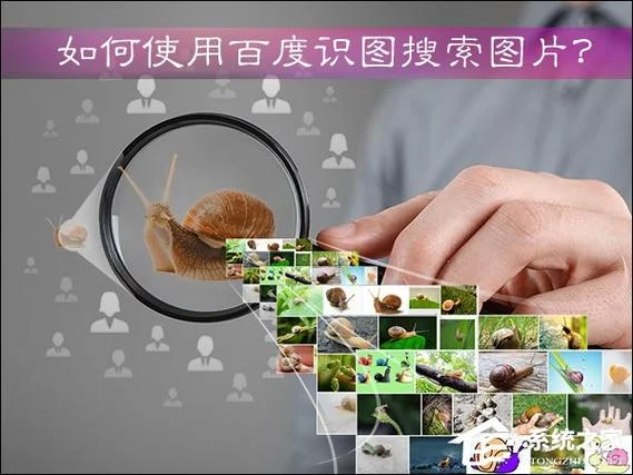 百度识图查图片出处-百度识图查出处