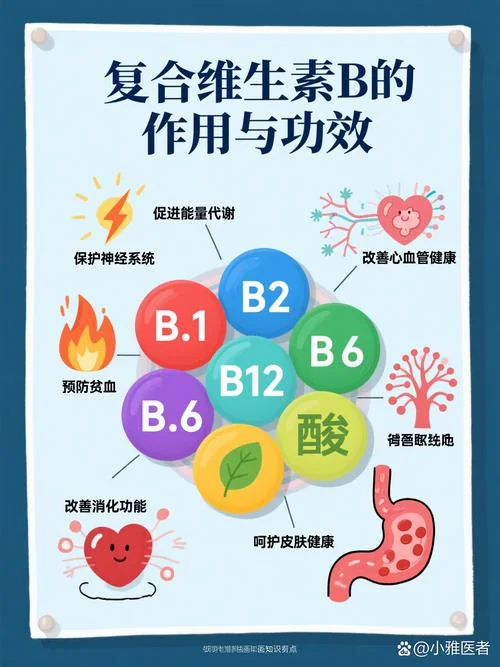 维生素b2又叫什么_2