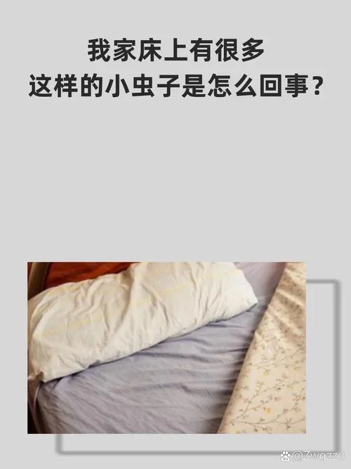 梦见那么多小肉虫子_2