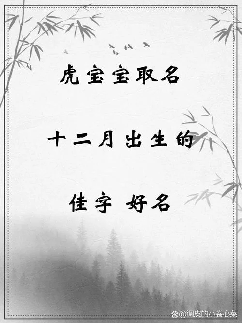 起名佳_1