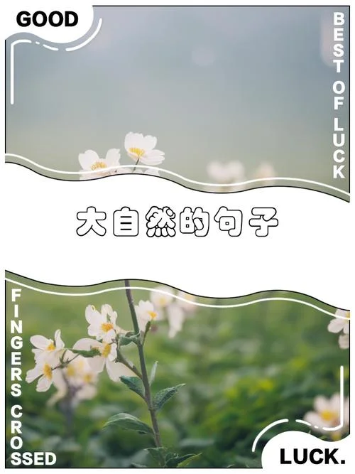 对大自然的感悟短句_1
