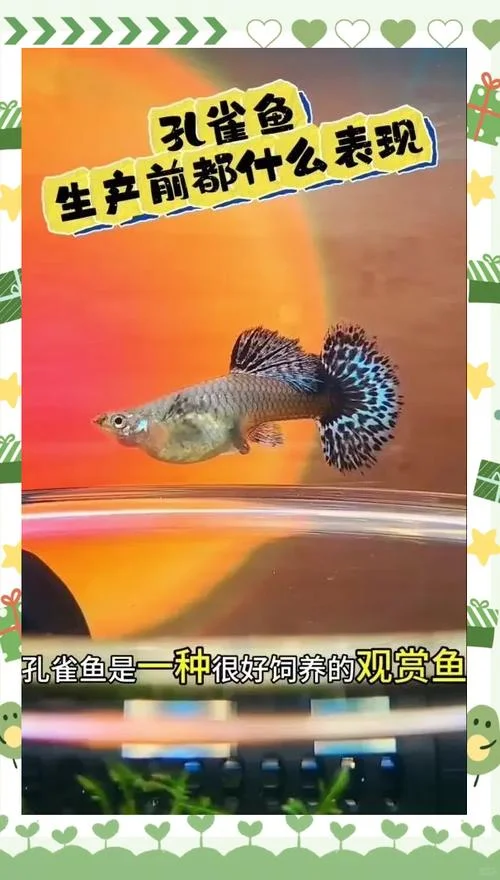梦见水里有小鱼是什么预兆_2
